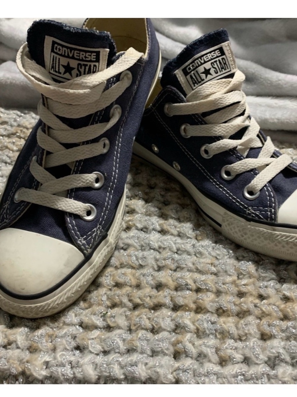 Converse Navy Canvas Low-Top Sneakers